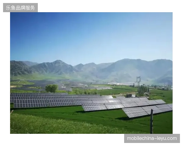 符合碳中和要求的世界杯衍生品包装流程如何消解下游零售商的采购运营压力