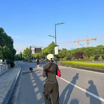 朱辉宇